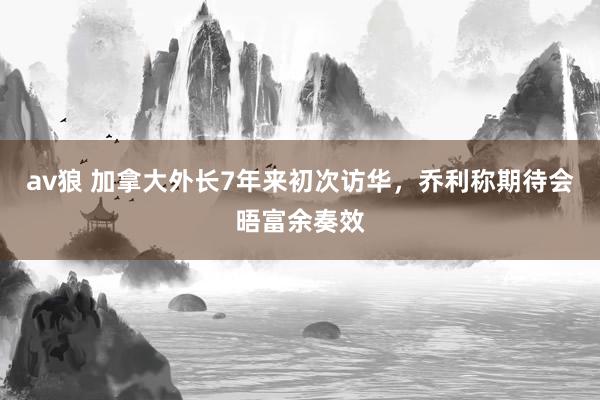 av狼 加拿大外长7年来初次访华，乔利称期待会晤富余奏效