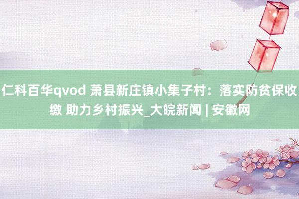 仁科百华qvod 萧县新庄镇小集子村：落实防贫保收缴 助力乡村振兴_大皖新闻 | 安徽网