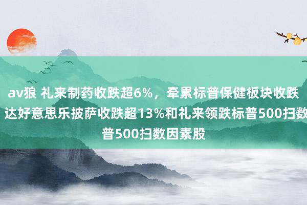 av狼 礼来制药收跌超6%，牵累标普保健板块收跌2.3%，达好意思乐披萨收跌超13%和礼来领跌标普500扫数因素股