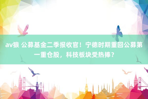 av狼 公募基金二季报收官！宁德时期重回公募第一重仓股，科技板块受热捧？