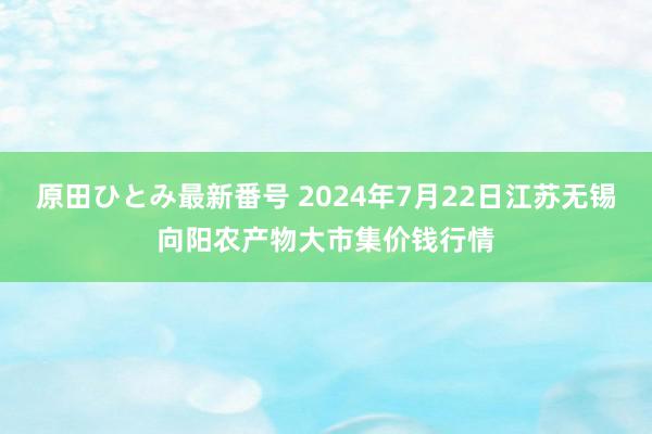 原田ひとみ最新番号 2024年7月22日江苏无锡向阳农产物大市集价钱行情