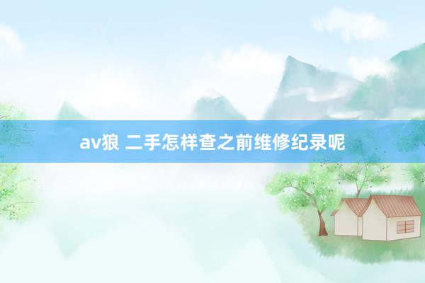 av狼 二手怎样查之前维修纪录呢