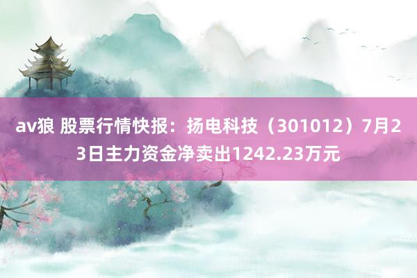 av狼 股票行情快报：扬电科技（301012）7月23日主力资金净卖出1242.23万元