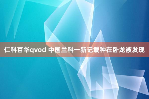 仁科百华qvod 中国兰科一新记载种在卧龙被发现