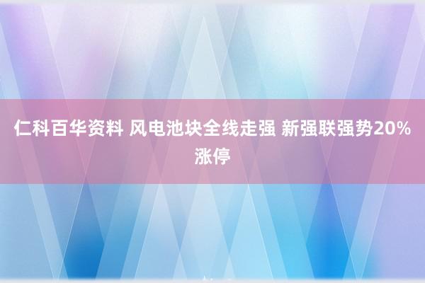 仁科百华资料 风电池块全线走强 新强联强势20%涨停