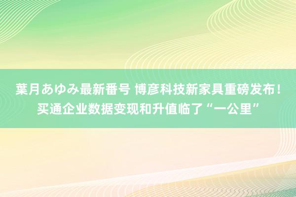 葉月あゆみ最新番号 博彦科技新家具重磅发布！买通企业数据变现和升值临了“一公里”