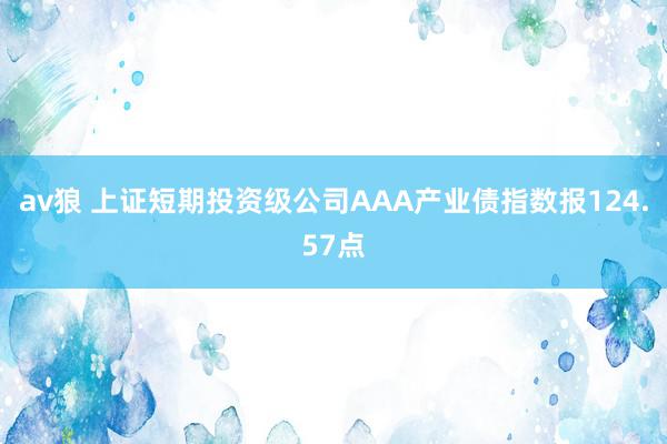 av狼 上证短期投资级公司AAA产业债指数报124.57点