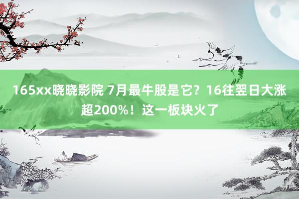 165xx晓晓影院 7月最牛股是它？16往翌日大涨超200%！这一板块火了