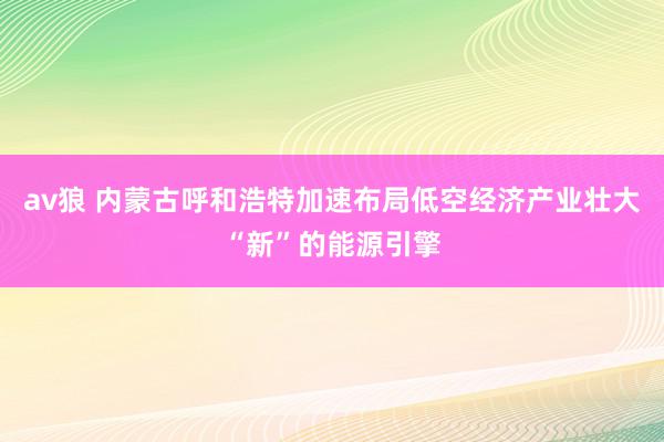 av狼 内蒙古呼和浩特加速布局低空经济产业壮大“新”的能源引擎