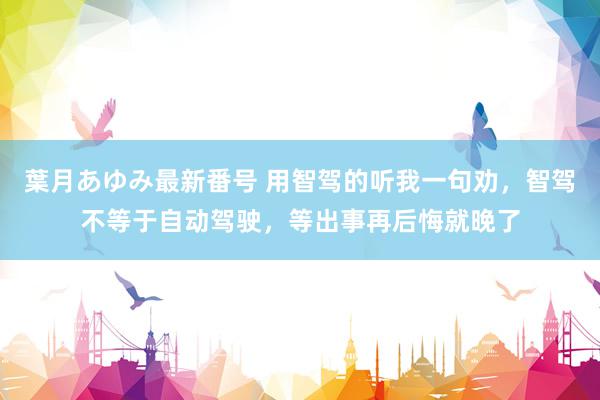 葉月あゆみ最新番号 用智驾的听我一句劝，智驾不等于自动驾驶，等出事再后悔就晚了