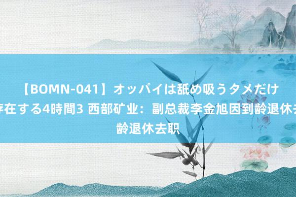 【BOMN-041】オッパイは舐め吸うタメだけに存在する4時間3 西部矿业：副总裁李金旭因到龄退休去职