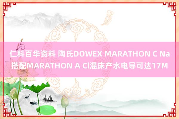 仁科百华资料 陶氏DOWEX MARATHON C Na搭配MARATHON A Cl混床产水电导可达17M