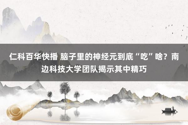 仁科百华快播 脑子里的神经元到底“吃”啥？南边科技大学团队揭示其中精巧