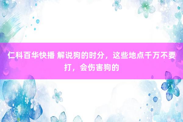 仁科百华快播 解说狗的时分，这些地点千万不要打，会伤害狗的