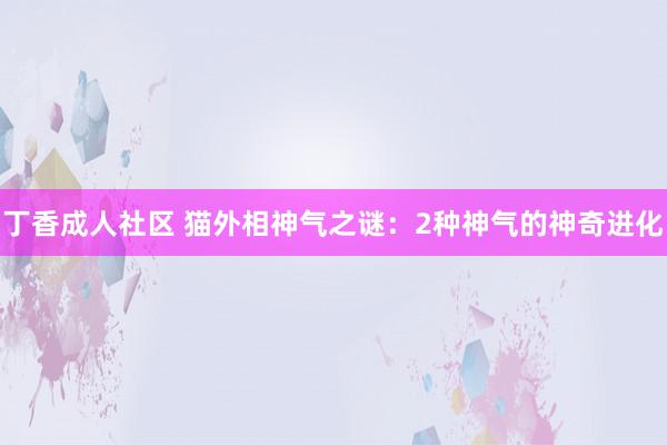 丁香成人社区 猫外相神气之谜：2种神气的神奇进化