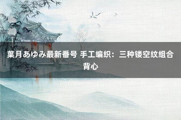 葉月あゆみ最新番号 手工编织：三种镂空纹组合背心