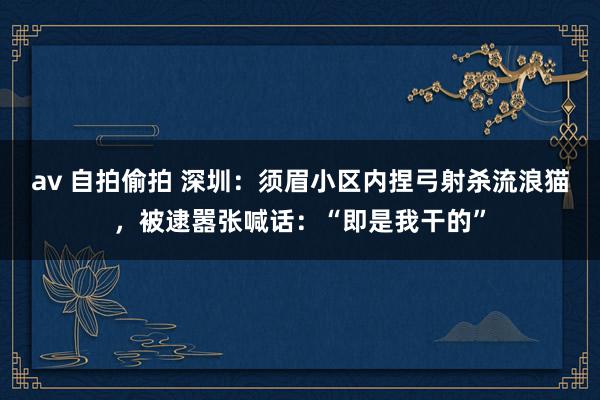 av 自拍偷拍 深圳：须眉小区内捏弓射杀流浪猫，被逮嚣张喊话：“即是我干的”