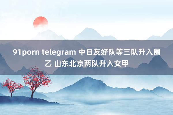 91porn telegram 中日友好队等三队升入围乙 山东北京两队升入女甲