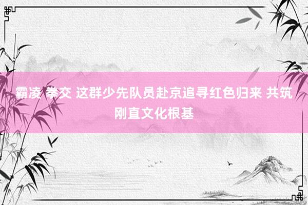 霸凌 拳交 这群少先队员赴京追寻红色归来 共筑刚直文化根基