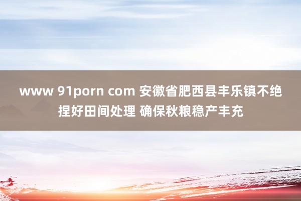 www 91porn com 安徽省肥西县丰乐镇不绝捏好田间处理 确保秋粮稳产丰充